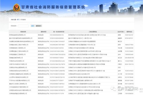 平?jīng)鱿?學黨史辦實事，手把手教你查詢消防技術(shù)服務(wù)機構(gòu)